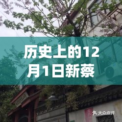 探秘新蔡檀香園，巷弄深處的獨(dú)特風(fēng)情，揭秘十二月最新動(dòng)態(tài)