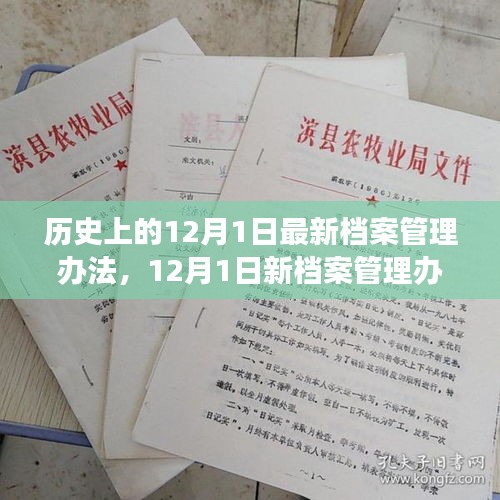 建議，新檔案管理辦法出臺，心靈與自然美景之旅啟程