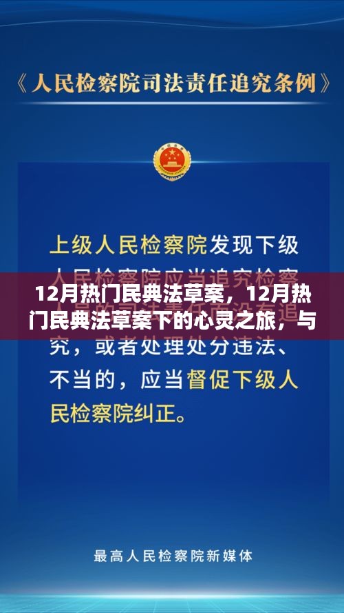 12月民典法草案下的心靈與自然之旅，探尋內(nèi)心平靜與美景共舞