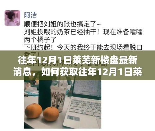 往年12月1日萊蕪新樓盤最新消息獲取指南，詳細(xì)步驟與最新動(dòng)態(tài)速遞