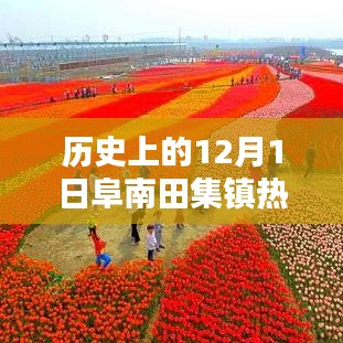 歷史上的12月1日阜南田集鎮(zhèn)熱門規(guī)劃深度解析與評測