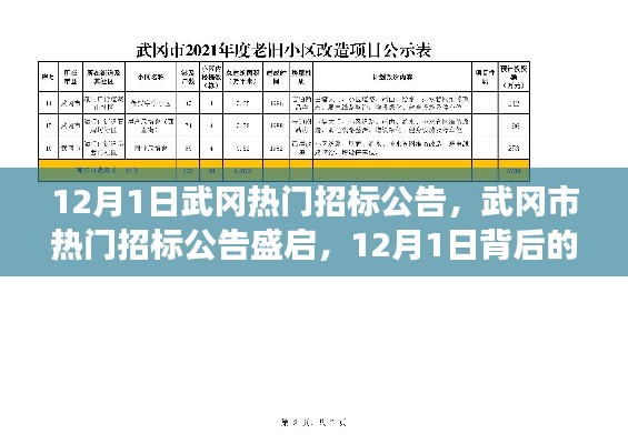 揭秘武岡市熱門招標(biāo)公告背后的故事與影響，12月1日盛啟