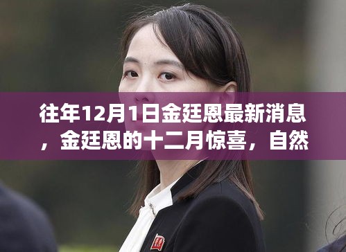 金廷恩十二月驚喜之旅，心靈啟示與自然美景的交融時(shí)刻