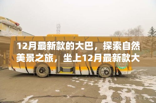 坐上最新款大巴，開啟自然美景探索之旅，尋找內(nèi)心的寧靜與平和