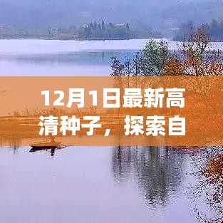 冬日的暖陽之旅，追尋內(nèi)心平靜的種子，探索自然美景的啟程