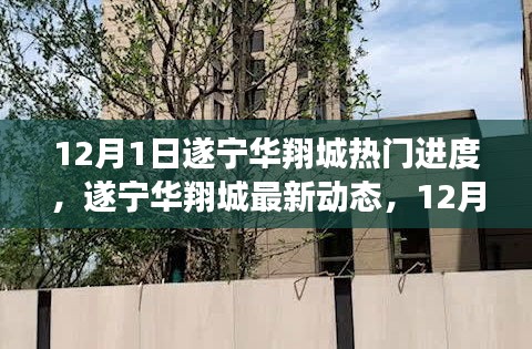 遂寧華翔城12月1日最新動態(tài)及熱門進度全解析