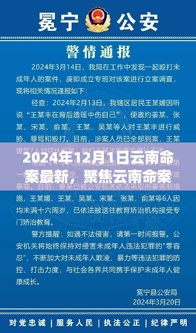 聚焦云南命案，最新進(jìn)展與深度解讀（2024年12月版）
