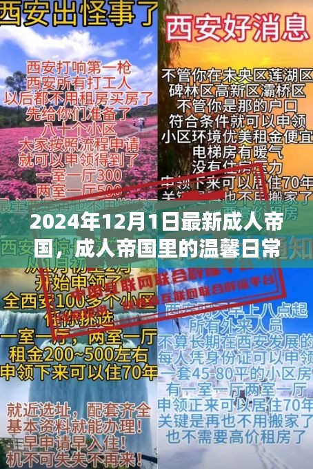 成人帝國里的溫馨日常，陽光故事2024年12月1日