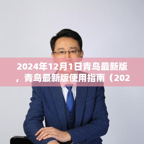 青鳥最新版使用指南（2024年12月版），初學(xué)者與進階用戶指南共鑒