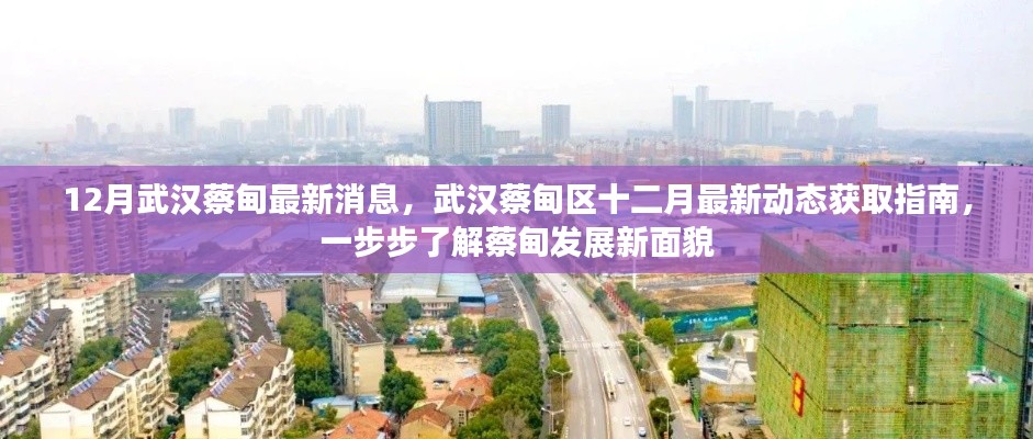 武漢蔡甸區(qū)十二月最新動(dòng)態(tài)全解析，發(fā)展面貌大揭秘