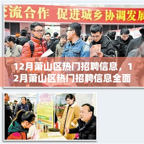 12月蕭山區(qū)熱門招聘信息全面解析與求職全攻略