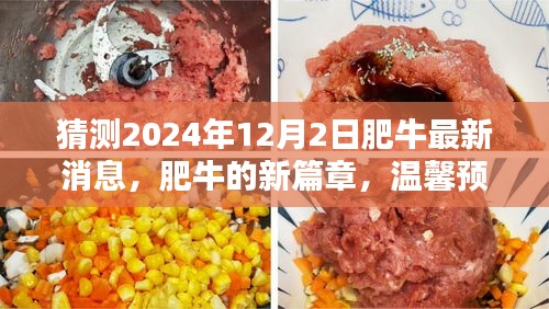 肥牛新篇章，溫馨預(yù)測肥牛最新消息，展望驚喜日常