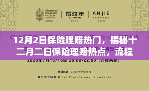 揭秘十二月二日保險(xiǎn)理賠熱點(diǎn)，流程、要點(diǎn)及注意事項(xiàng)全解析