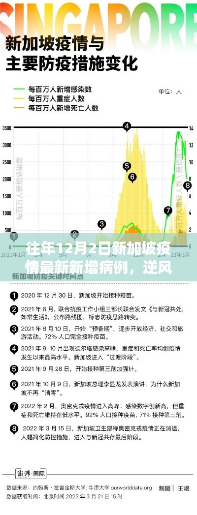 新加坡疫情下的勵志篇章，逆風砥柱，學習變化的力量與自信之路——歷年12月2日最新數(shù)據(jù)回顧