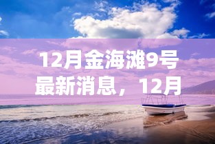 12月金海灘9號(hào)最新動(dòng)態(tài)與指南，任務(wù)完成與技能學(xué)習(xí)全解析