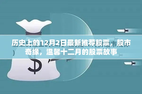溫馨十二月，股市奇緣與最新推薦股票故事回顧