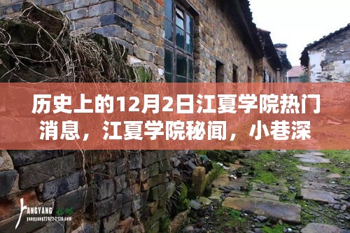 江夏學(xué)院十二月二日秘聞探尋，寶藏小店與獨特風(fēng)采揭秘