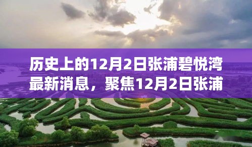 聚焦張浦碧悅灣最新動態(tài)，深度解讀12月2日新消息及其影響