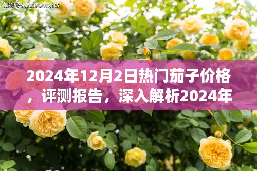 2024年熱門茄子價(jià)格深度解析與評(píng)測報(bào)告