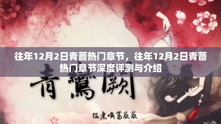 往年12月2日青薔熱門章節(jié)深度解析與評測