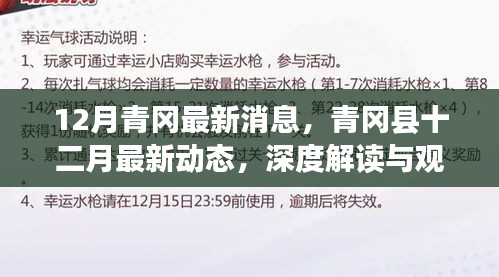 深度解讀與觀點(diǎn)闡述，青岡縣十二月最新動(dòng)態(tài)與消息速遞