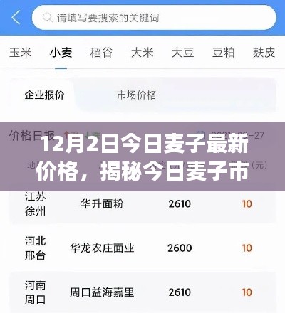 揭秘今日麥子市場(chǎng)，最新價(jià)格動(dòng)態(tài)及市場(chǎng)分析（以麥子最新價(jià)格行情為例）