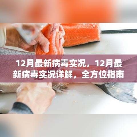 全方位指南，12月病毒威脅詳解與防范應對策略