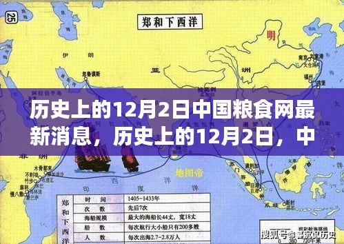 歷史上的12月2日，中國糧食網(wǎng)的新篇章與自信的力量種子