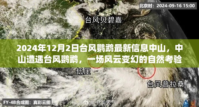 中山遭遇臺風(fēng)鸚鵡，風(fēng)云變幻的自然考驗(yàn)最新信息
