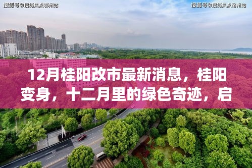 12月桂陽改市最新動態(tài)，綠色奇跡啟程，心靈之旅開啟