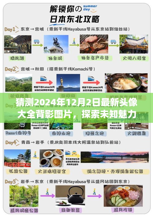 『最新精選，2024年12月2日背影頭像大全，探索未知魅力與未來時尚潮流』