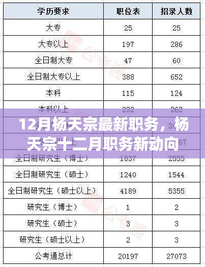 楊天宗十二月職務(wù)最新動態(tài)，多方解讀與觀點分析