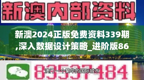 新澳2024正版免費資料339期,深入數(shù)據(jù)設計策略_進階版86.976-6