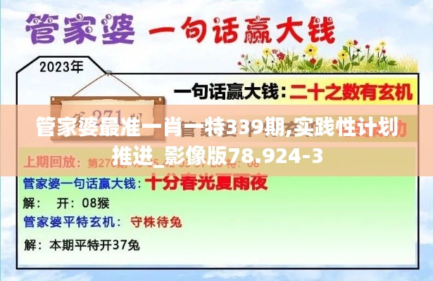 管家婆最準(zhǔn)一肖一特339期,實踐性計劃推進_影像版78.924-3