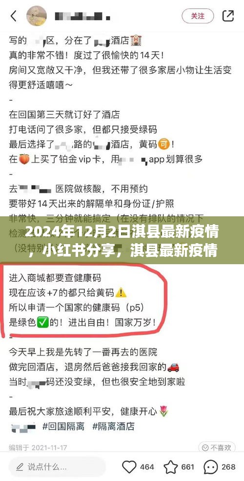 小紅書分享，淇縣最新疫情動態(tài)深度解析（2024年12月2日）
