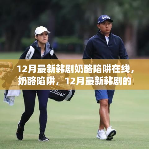 12月最新韓劇奶酪陷阱在線，奶酪陷阱，12月最新韓劇的甜蜜與掙扎