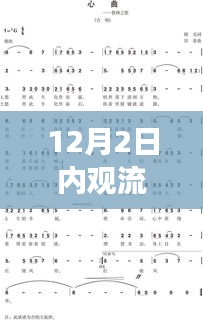 溫馨日常故事與內(nèi)觀流心曲，最新歌曲發(fā)布