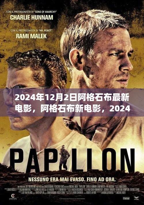 阿格石布新電影，2024年視聽盛宴與觀點爭議深度探討