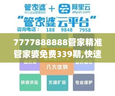 7777888888管家精準(zhǔn)管家婆免費339期,快速問題處理策略_Z40.654-7