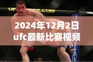 揭秘小巷深處的格斗盛宴，UFC最新比賽視頻與美食天堂的雙重體驗(yàn)（2024年12月2日）