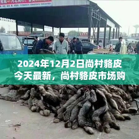 尚村貉皮市場(chǎng)最新指南，選購(gòu)優(yōu)質(zhì)貉皮的初學(xué)者友好版建議