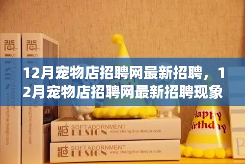 12月寵物店招聘網(wǎng)最新招聘現(xiàn)象解析，利弊探討與個(gè)人觀點(diǎn)