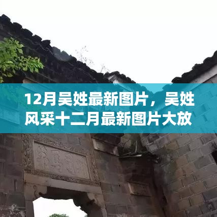 十二月吳姓風采展示，最新圖片大放送，絕美瞬間一網(wǎng)打盡