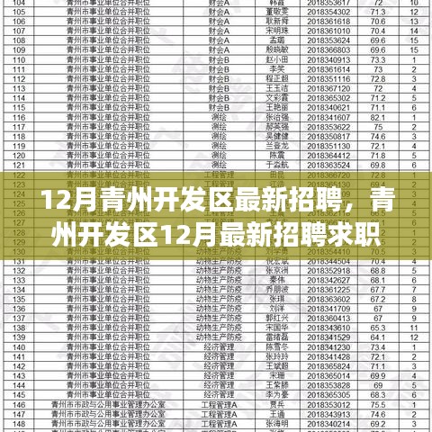 青州開發(fā)區(qū)12月最新招聘求職全流程指南，從準備到面試成功的秘訣