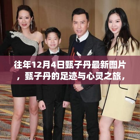 甄子丹足跡與藝術(shù)之旅，探尋自然美景與內(nèi)心平靜的藝術(shù)之旅（最新圖片）