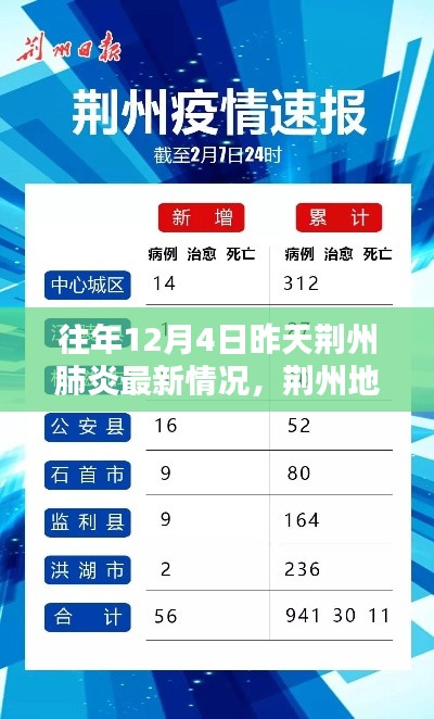 荊州地區(qū)往年12月4日昨日肺炎最新情況回顧與影響分析，回顧與啟示