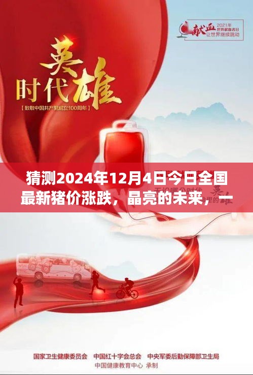 晶亮未來展望，2024年12月4日全國豬價漲跌預(yù)測之旅