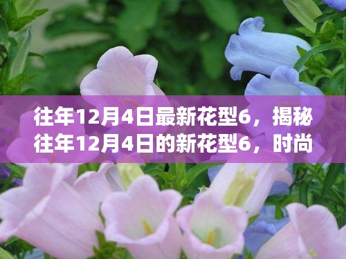 揭秘往年12月4日新花型6，時(shí)尚變遷與流行趨勢深度解讀
