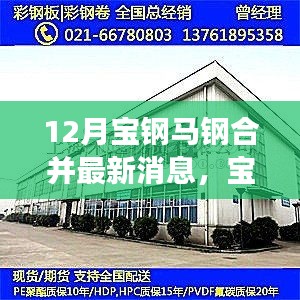 寶鋼馬鋼合并最新進展，攜手共進，冬日傳遞溫情與陪伴