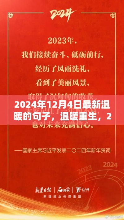 溫暖重生，2024年12月4日的語言之光與情感暖流